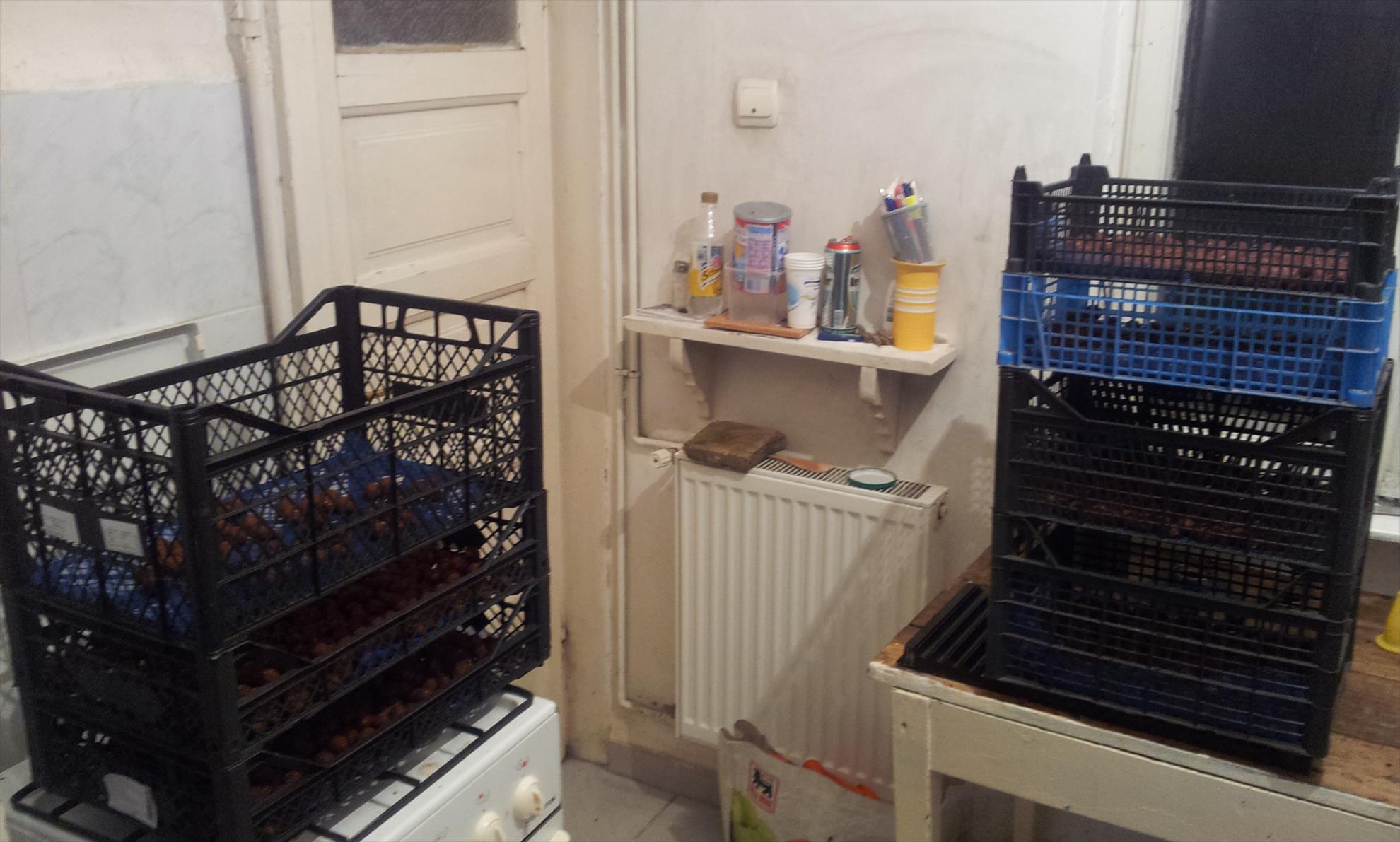 Pregatiri 2014 - 20140309012355.jpg